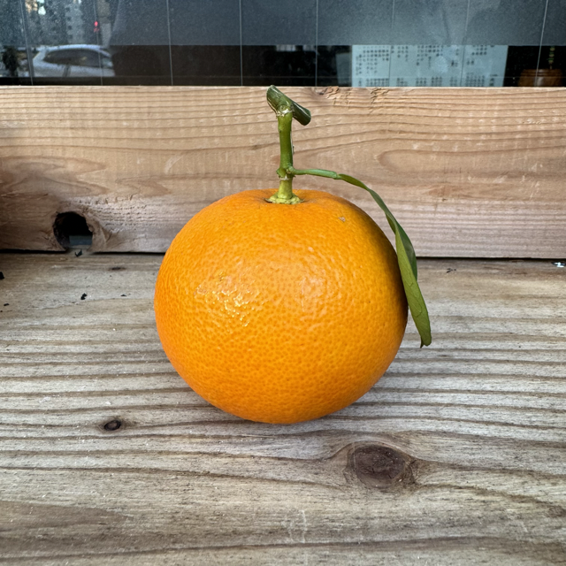 代々の商品画像