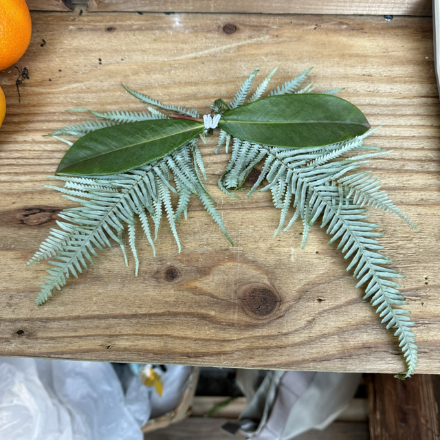 下地セットの商品画像